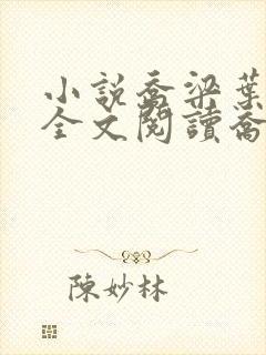 小说乔梁叶心仪全文阅读乔