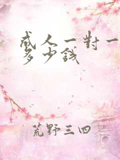 成人一对一外教多少钱