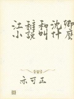 江稚和沈卿尘的小说叫什么名字