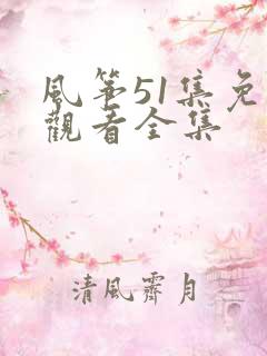风筝51集免费观看全集