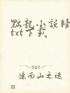 黜龙小说精校版txt下载