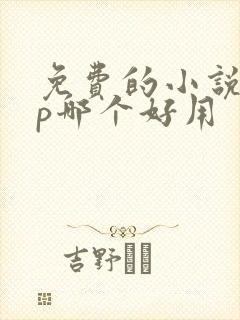 免费的小说app哪个好用