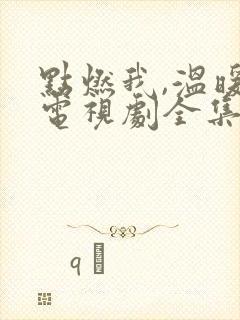 点燃我,温暖你电视剧全集免费播放