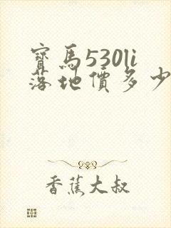 宝马530li落地价多少钱一辆