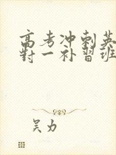 高考冲刺英语一对一补习班