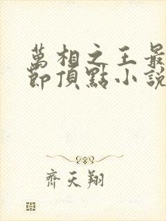 万相之王最新章节顶点小说