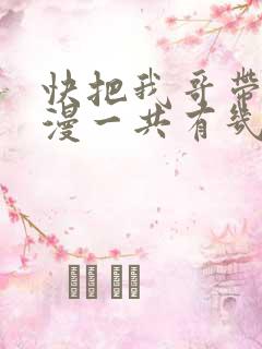 快把我哥带走动漫一共有几季