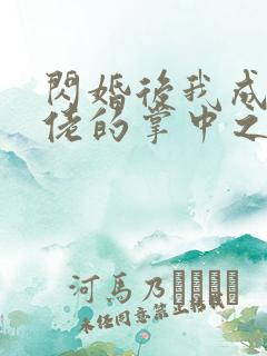 闪婚后我成了大佬的掌中之物哪里免费