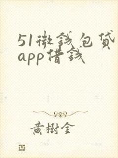 51微钱包贷款app借钱