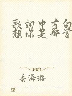 歌词中有句想你想你是哪首歌