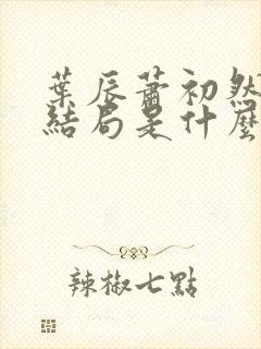 叶辰萧初然最后结局是什么?