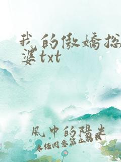 我的傲娇总裁老婆txt