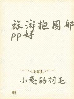 旅游抱团哪个app好