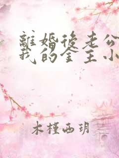 离婚后老公成了我的金主小说