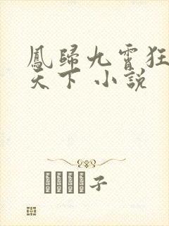 凤归九霄狂妃逆天下 小说