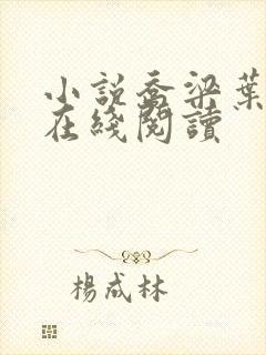 小说乔梁叶心仪在线阅读