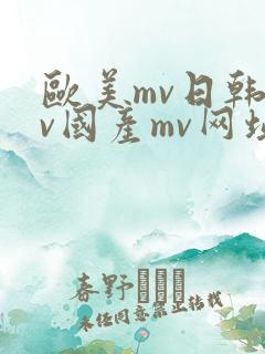 欧美mv日韩mv国产mv网址永久