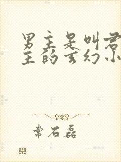 男主是叫君家少主的玄幻小说