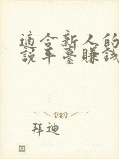 适合新人的写小说平台赚钱