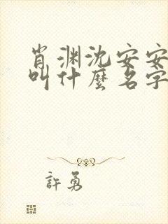 肖渊沈安安小说叫什么名字