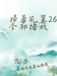 扫毒风暴26集全部播放