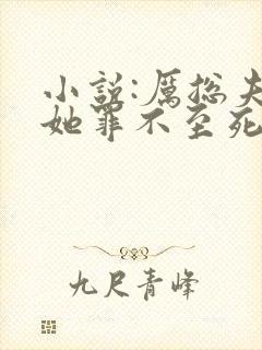 小说:厉总夫人她罪不至死