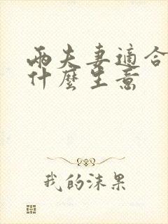 两夫妻适合做点什么生意