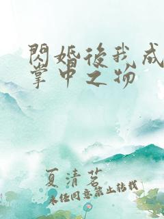 闪婚后我成大佬掌中之物