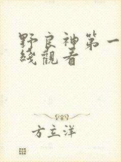 野良神第一季在线观看