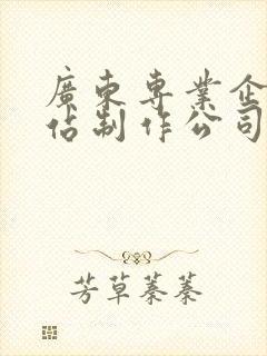 广东专业企业网站制作公司