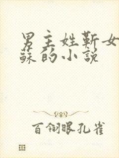 男主姓靳女主姓苏的小说