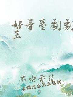 好看台剧剧双男主