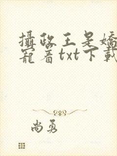 摄政王是娇病得宠着txt下载
