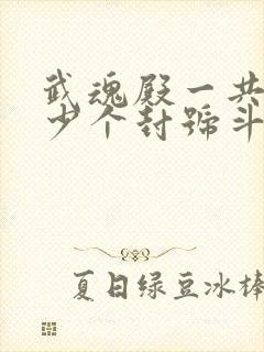 武魂殿一共有多少个封号斗罗