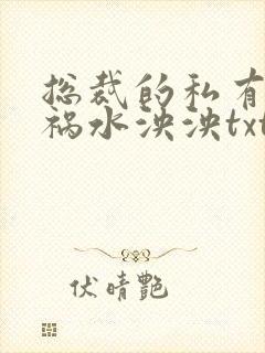 总裁的私有宝贝祸水泱泱txt下载