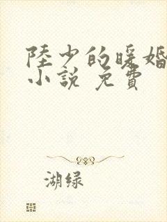 陆少的暖婚新妻小说 免费