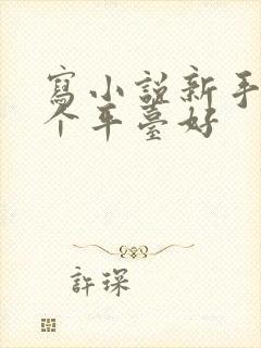 写小说新手去哪个平台好