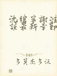 沈绾宁谢淮今小说最新章节免费阅读