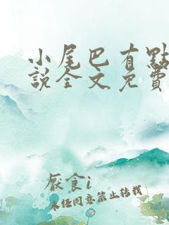 小尾巴有点甜小说全文免费阅读