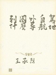 到国外自驾游用什么导航地图