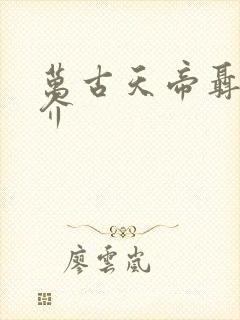 万古天帝聂天简介