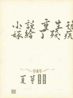 小说 重生后我嫁给了残疾大佬