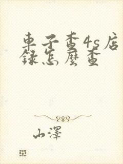 车子查4s店记录怎么查