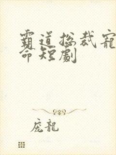 霸道总裁宠妻如命短剧