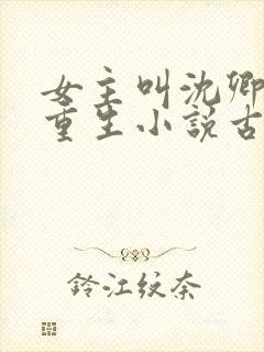 女主叫沈卿卿的重生小说古代