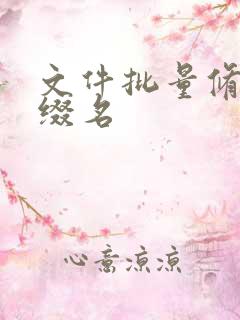 文件批量修改后缀名