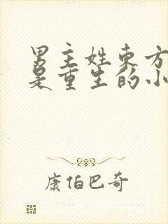 男主姓东方女主是重生的小说