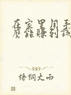 在家里用手机怎么能赚到钱