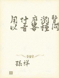 用什么浏览器可以看各种网站