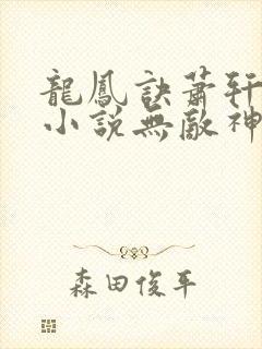 龙凤诀萧轩夏萍小说无敌神医